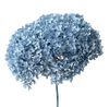 Preserved Hydrangea Stem – Real Dried Flower, Everlasting Farmhouse Decor