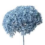 Preserved Hydrangea Stem – Real Dried Flower, Everlasting Farmhouse Decor