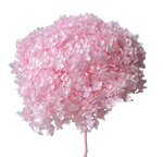 Preserved Hydrangea Stem – Real Dried Flower, Everlasting Farmhouse Decor