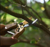 Professional Floral & Garden Pruning Shears