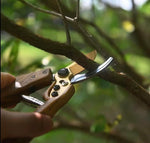 Professional Floral & Garden Pruning Shears