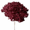 Preserved Hydrangea Stem – Real Dried Flower, Everlasting Farmhouse Decor