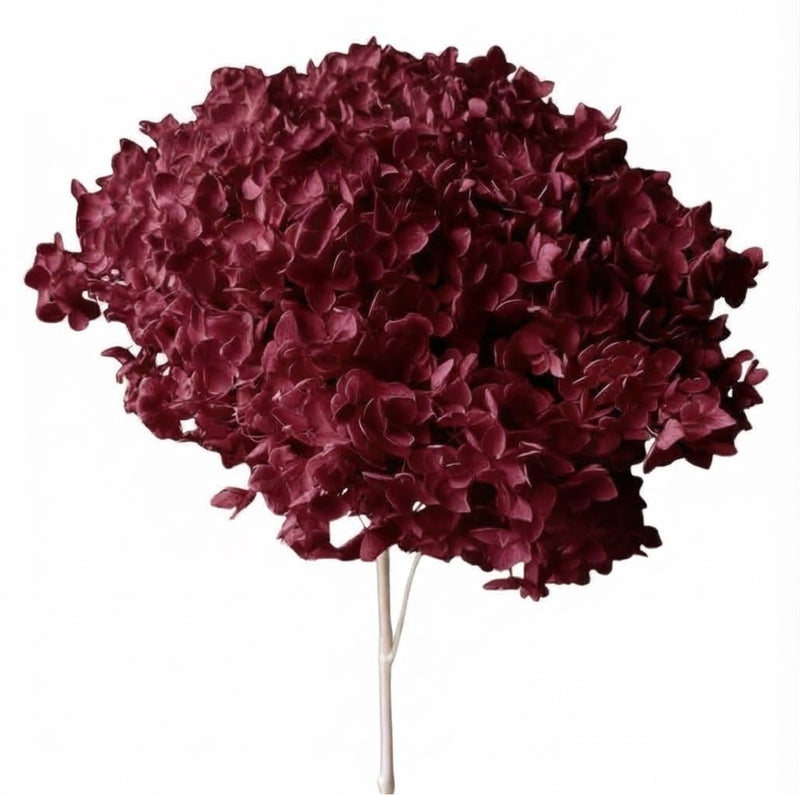 Burgundy preserved hydrangea stems, set of 3