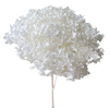Preserved Hydrangea Stem – Real Dried Flower, Everlasting Farmhouse Decor