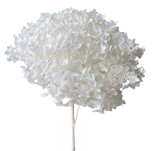 Preserved Hydrangea Stem – Real Dried Flower, Everlasting Farmhouse Decor