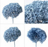 Preserved Hydrangea Stem – Real Dried Flower, Everlasting Farmhouse Decor