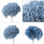 Preserved Hydrangea Stem – Real Dried Flower, Everlasting Farmhouse Decor