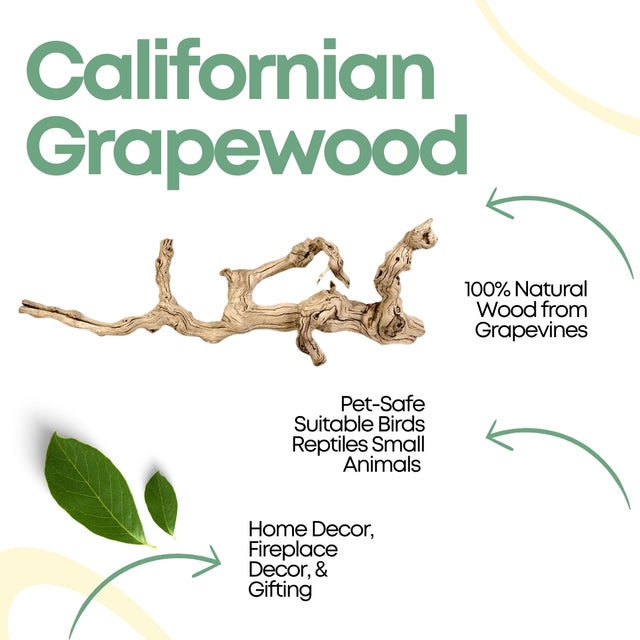 Californian Grapewood Branch 100% Natural Sandblasted Driftwood