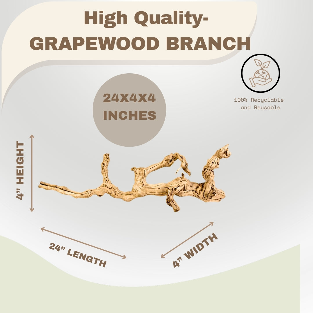 Californian Grapewood Branch 100% Natural Sandblasted Driftwood