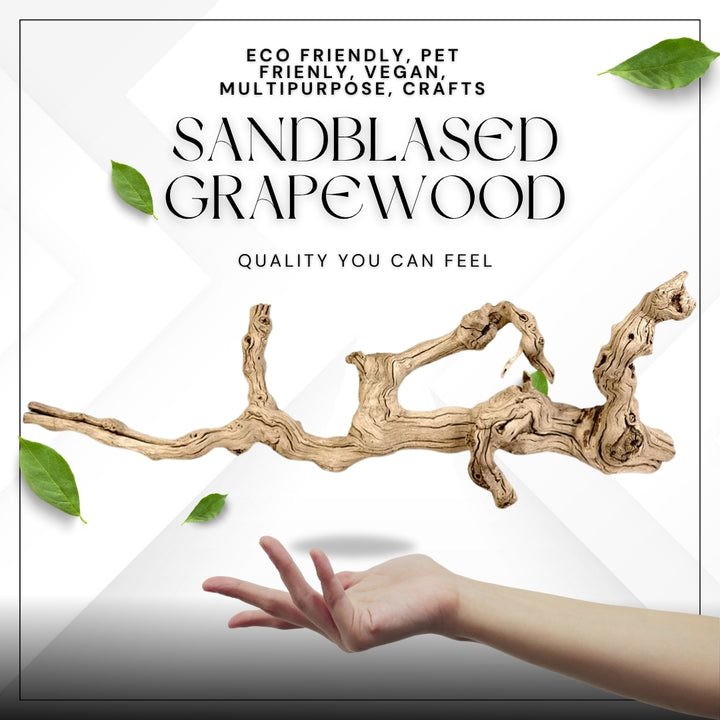 Californian Grapewood Branch 100% Natural Sandblasted Driftwood