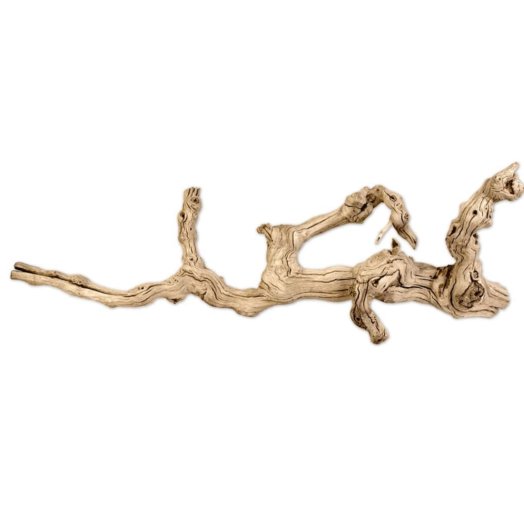 Californian Grapewood Branch 100% Natural Sandblasted Driftwood