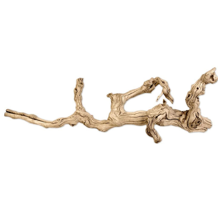 Californian Grapewood Branch 100% Natural Sandblasted Driftwood