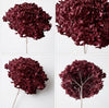 Preserved Hydrangea Stem – Real Dried Flower, Everlasting Farmhouse Decor