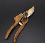 Professional Floral & Garden Pruning Shears